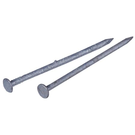 Common Nail, 12 In L, Hot Dipped Galvanized Finish